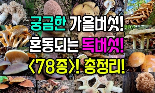 妇科瘙痒做什么检查最准确-妇科瘙痒上什么药效果好网 :分享妇科瘙痒有小疙瘩用什么药-妇科瘙痒有小疙瘩用什么药知识