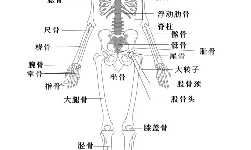 妇科瘙痒做什么检查最准确-妇科瘙痒上什么药效果好网 :分享妇科瘙痒有小疙瘩用什么药-妇科瘙痒有小疙瘩用什么药知识